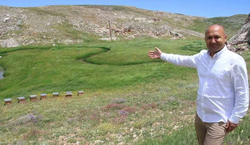 İngiltere'de kazanılan altın madalyayı değerlendiren arıcı Celal Çay (Fotoğrafta), uluslararası yarı