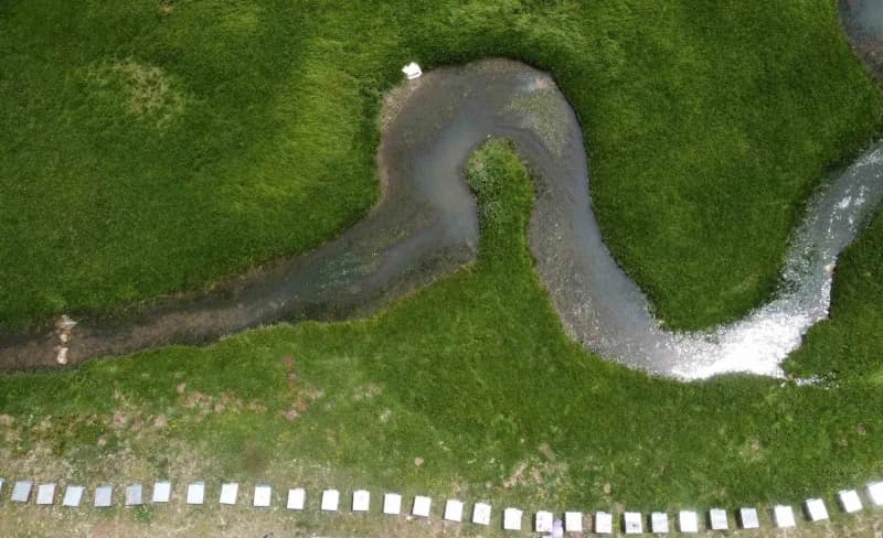 Mersin'in Eğriçayır Yaylası’nda üretilen yüksek Toplam Aktivite (TA) değerine sahip bal, İngiltere'd