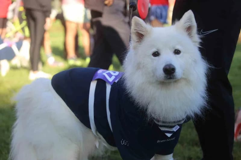 Bursa'da bu yıl 13'üncüsü düzenlenen Eker ı Run kapsamında ilk kez gerçekleştirilen "Köpeğinle Koş" etkinliği, yüzlerce