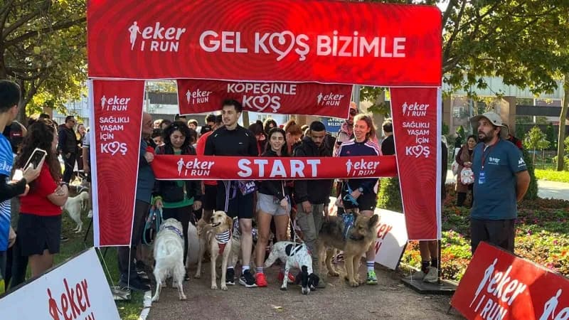 Hüdavendigar Parkı'nda renkli görüntülere sahne olan Etkinlikte katılımcılar, köpekleriyle birlikte hem spor yaptı hem d