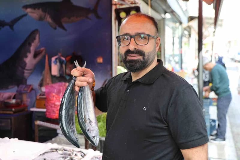 Elazığ’da balık tezgahında kilo ile satılan palamut balıkları
