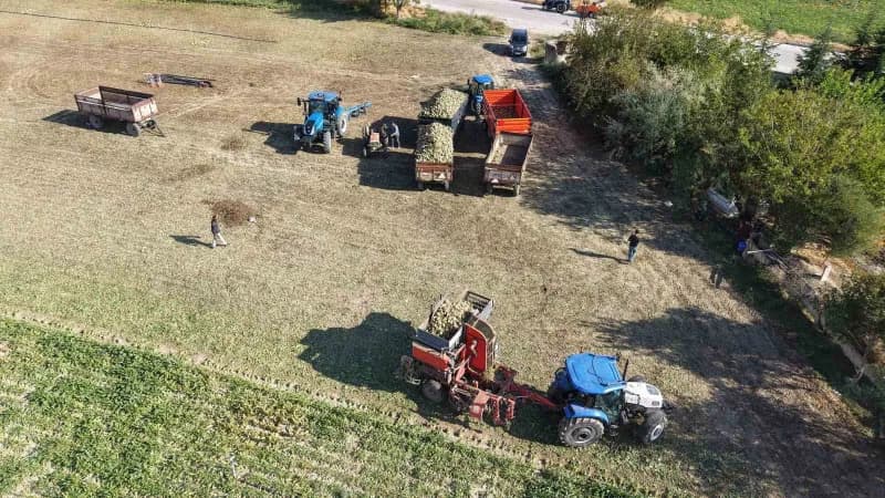 Elazığ Şeker Fabrikası’nda alım kampanyasının startının verilmesiyle birlikte, bölge çiftçilerinin önemli gelir kaynağı