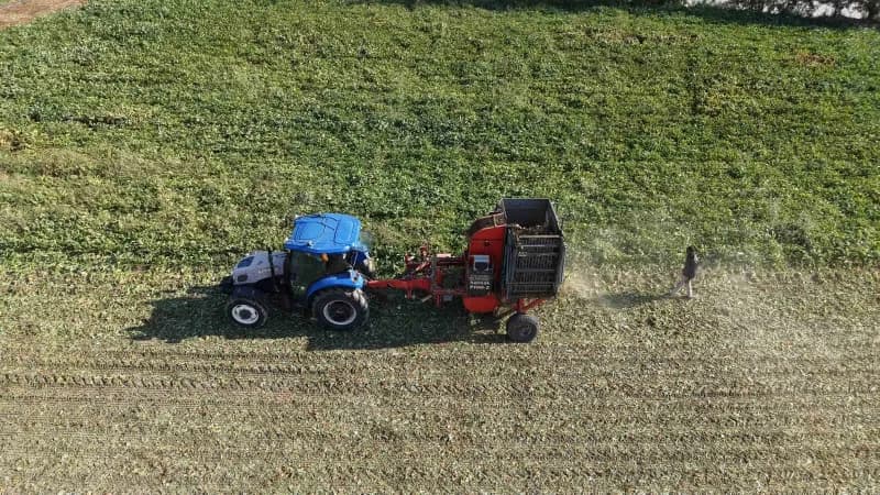 Elazığ Şeker Fabrikası’nda alım kampanyasının startının verilmesiyle birlikte, bölge çiftçilerinin önemli gelir kaynağı