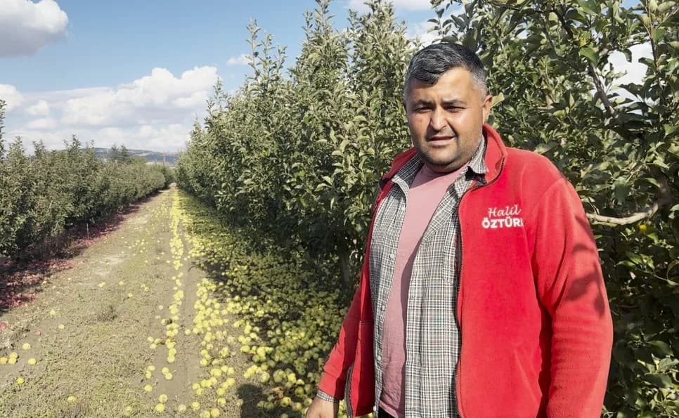 Elmalı ilçesinde elma bahçesinde olgun elmalar ve üreticiler