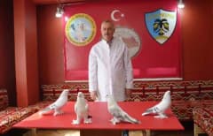 Erzurum’da emekli astsubay Ahmet Özkalıpçı, şebap güvercinleri için kiraladığı 3+1 sobalı evde kuşlarıyla vakit geçiriyo