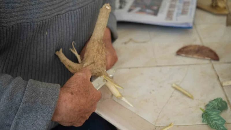 Ankara’da yaşayan emekli öğretmen bir ağacı dinozora benzetmesiyle başladığı kök sanatında, doğanın