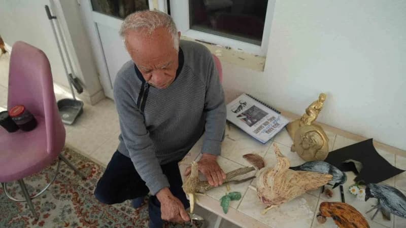 Ankara’da yaşayan emekli öğretmen bir ağacı dinozora benzetmesiyle başladığı kök sanatında, doğanın