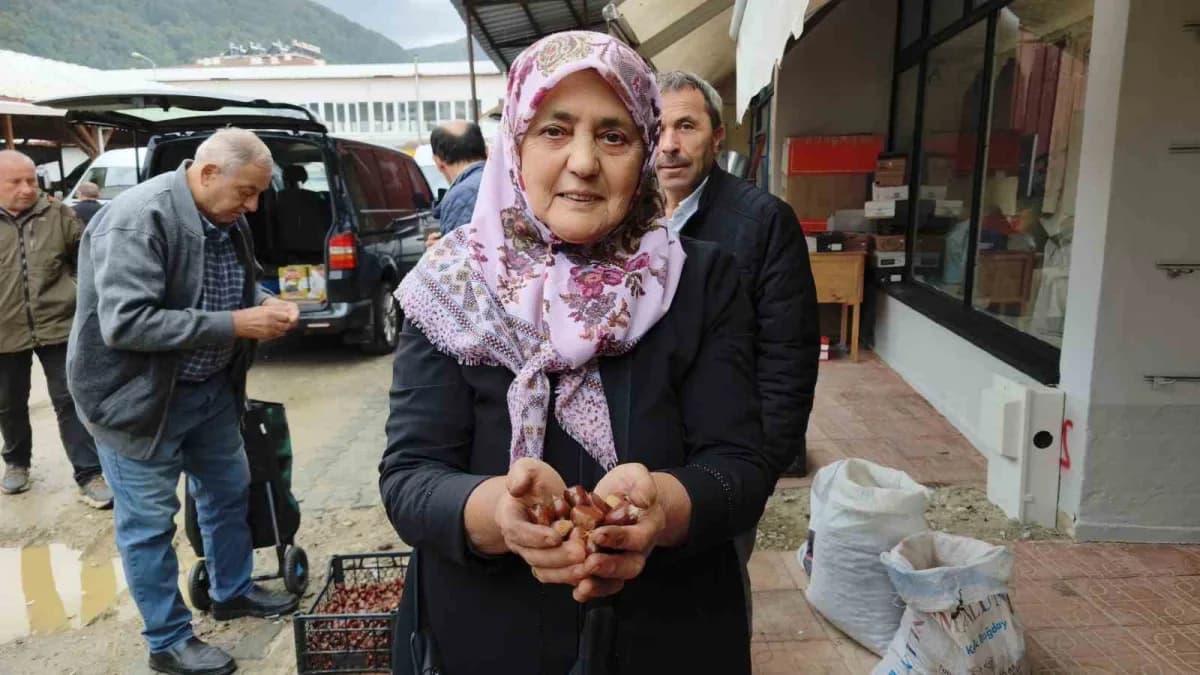 Sinop Erfelek'te ince kabuklu ve tatlı aromalı kuzu kestanesi tezgahlarda satışa sunuluyor