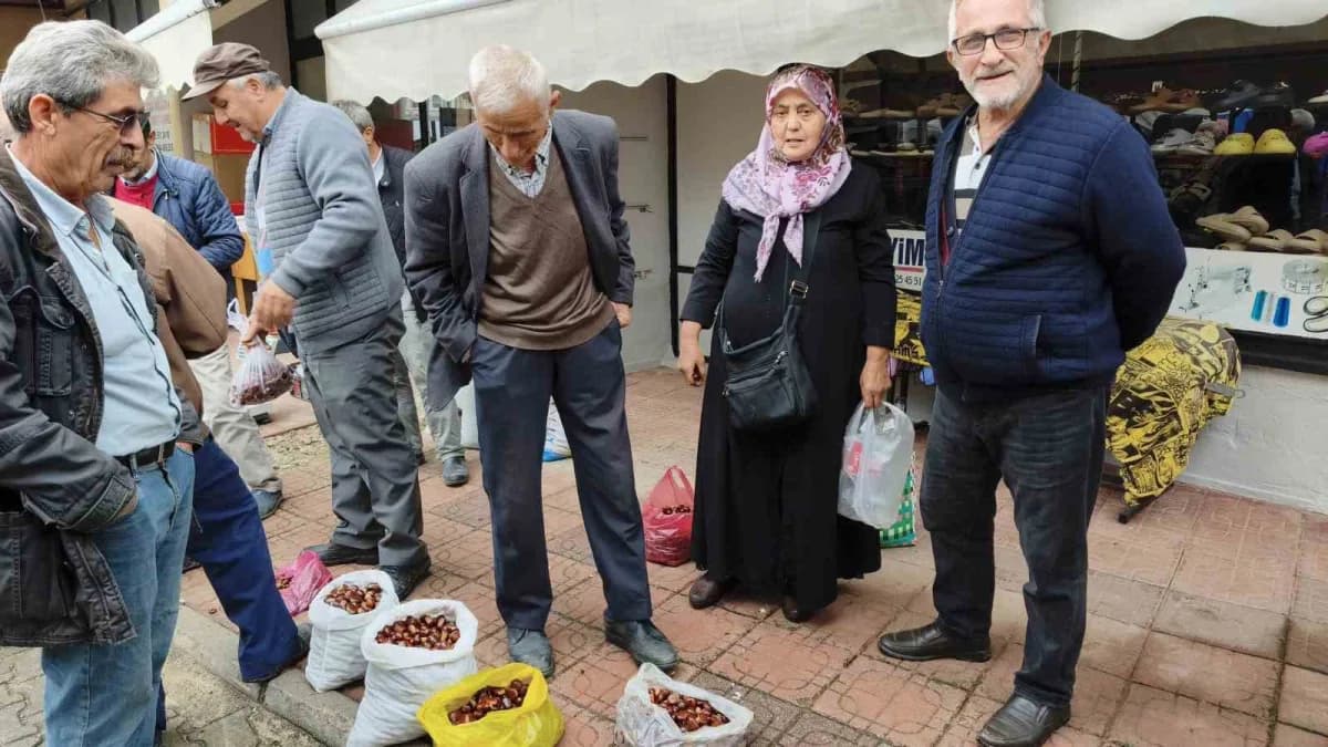 Türkiye’nin önemli kestane üretim merkezlerinden Sinop’un Erfelek ilçesinde kuzu kestanesi hasadı başladı. İnce kabuğu v