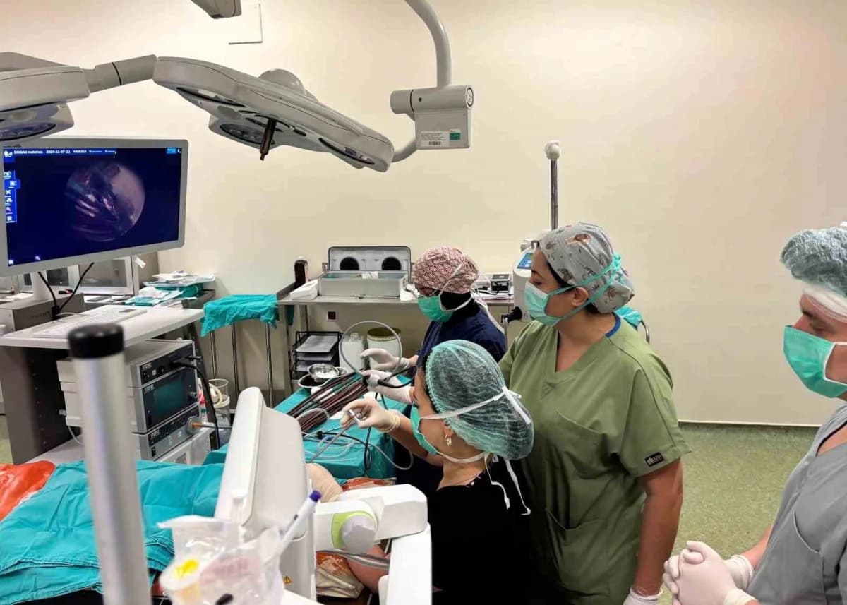 Eskişehir Osmangazi Üniversitesi (ESOGÜ) Tıp Fakültesi Çocuk Cerrahisi Ana Bilim Dalı ve Çocuk Ürolojisi Bilim Dalı tara