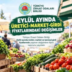 Eylül ayında üretici ve market fiyat farkının en fazla olduğu limonların satışa sunulduğu pazar