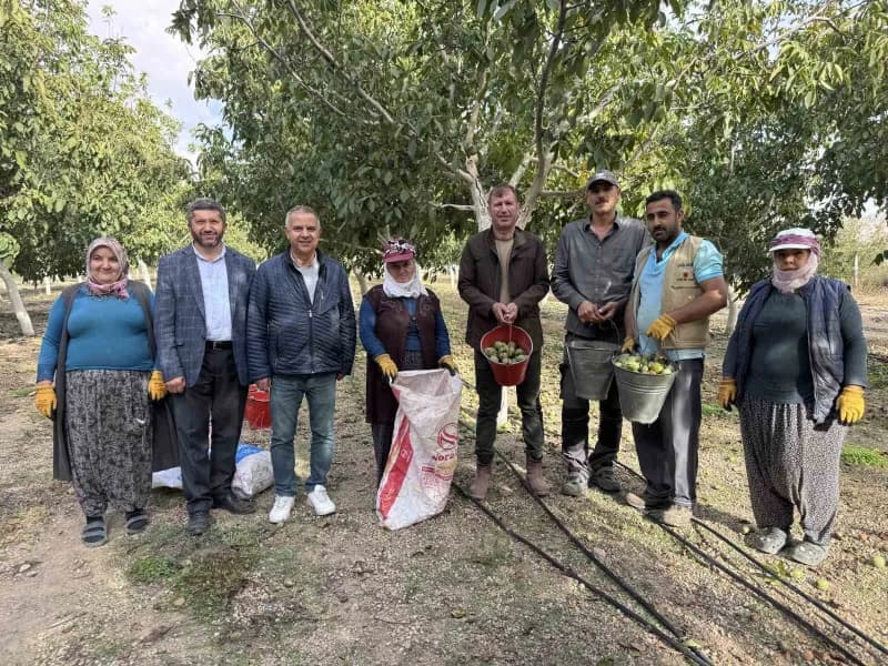 Develi ilçesinde boş fabrika bahçesine ekilen ceviz ağaçları ile hem üretim yapılıyor hem de bölge halkına istihdam sağl