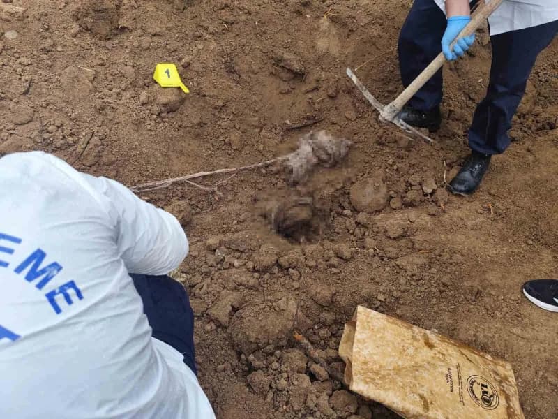 Adalet Bakanı Akın Gürlek, faili Meçhul olayların aydınlatılmasına yönelik çalışmalar çerçevesinde Kırşehir ve Samsun'da