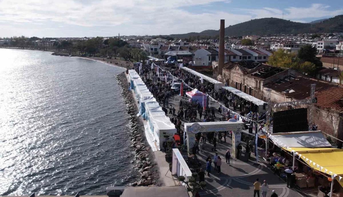 Festolive Edremit Zeytinyağı Tadım Festivali (Arşiv)