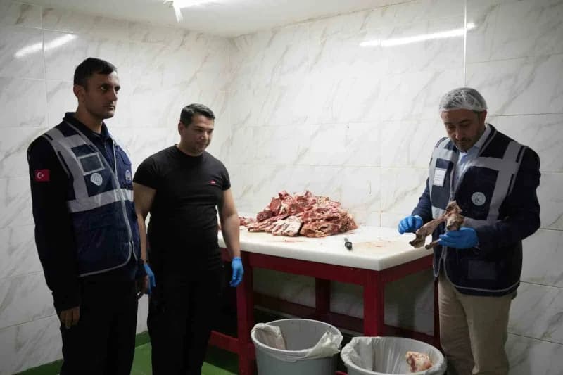 İstanbul Gaziosmanpaşa’da halk sağlığını tehdit eden gıdalara karşı 16 mahallede gerçekleştirilen De