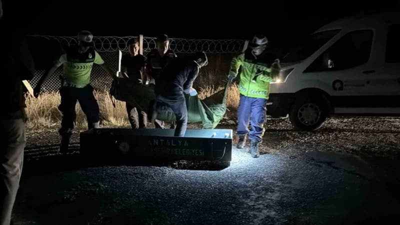 Antalya’nın Gazipaşa ilçesinde 20 yaşındaki genç yol kenarında ölü bulundu.