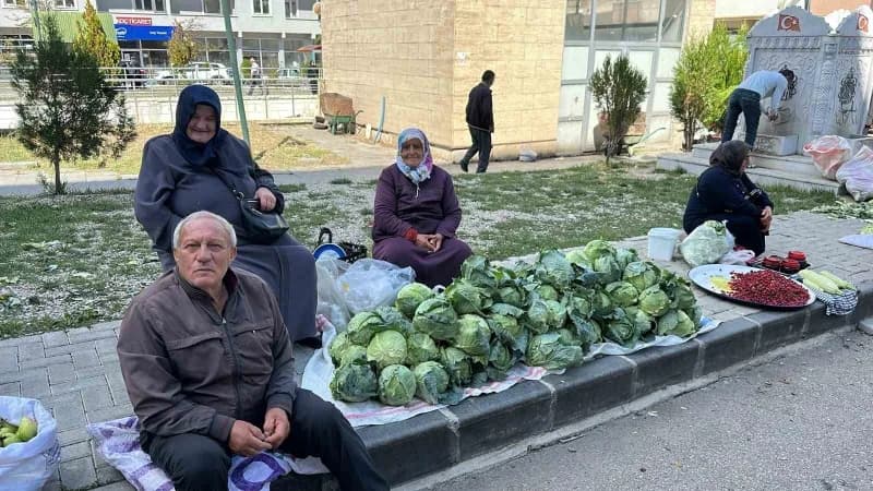 Giresun’un Alucra ilçesinde yöreye özgü yerel beyaz lahana olarak bilinen Alucra Keleminin hasadına başlandı. Bu yıl ver