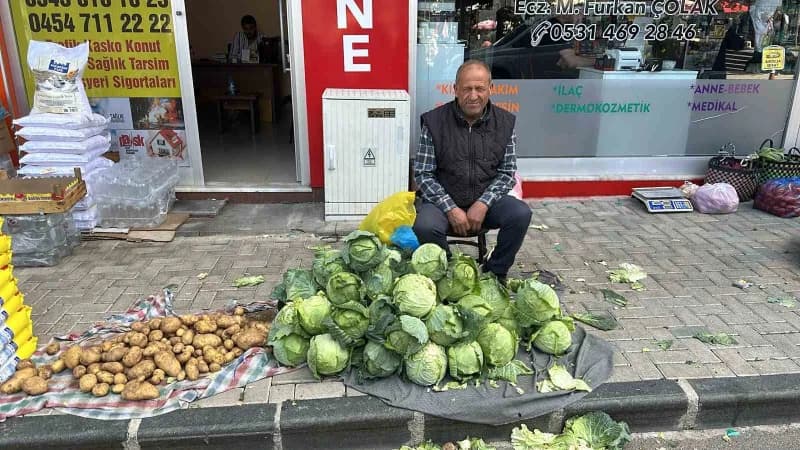 Giresun’un Alucra ilçesinde yöreye özgü yerel beyaz lahana olarak bilinen Alucra Keleminin hasadına başlandı. Bu yıl ver