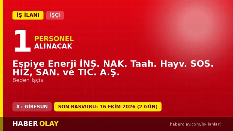 Giresun Espiye Enerji İnşaat Nakliyat Taahhüt Hayvancılık Sosyal Hizmetler Sanayi ve Ticaret A.Ş. personel alımı ilanı