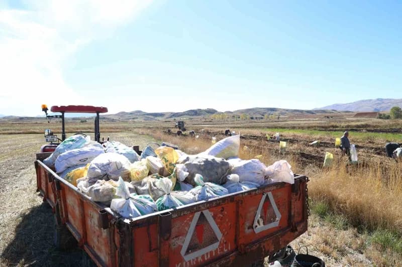 Bitki zararlılarına karşı Tarımsal ilaç kullanımını azaltmak, çiftçileri doğal üretime teşvik etmek,