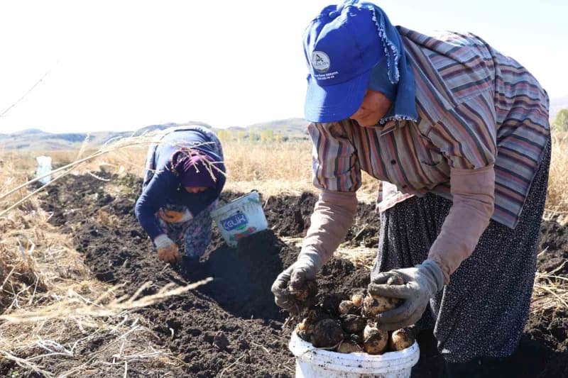 Bitki zararlılarına karşı Tarımsal ilaç kullanımını azaltmak, çiftçileri doğal üretime teşvik etmek,