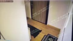 Yalova Çınarcık’ta şarkıcı Güllü’nün ölümüne ilişkin dava duruşması