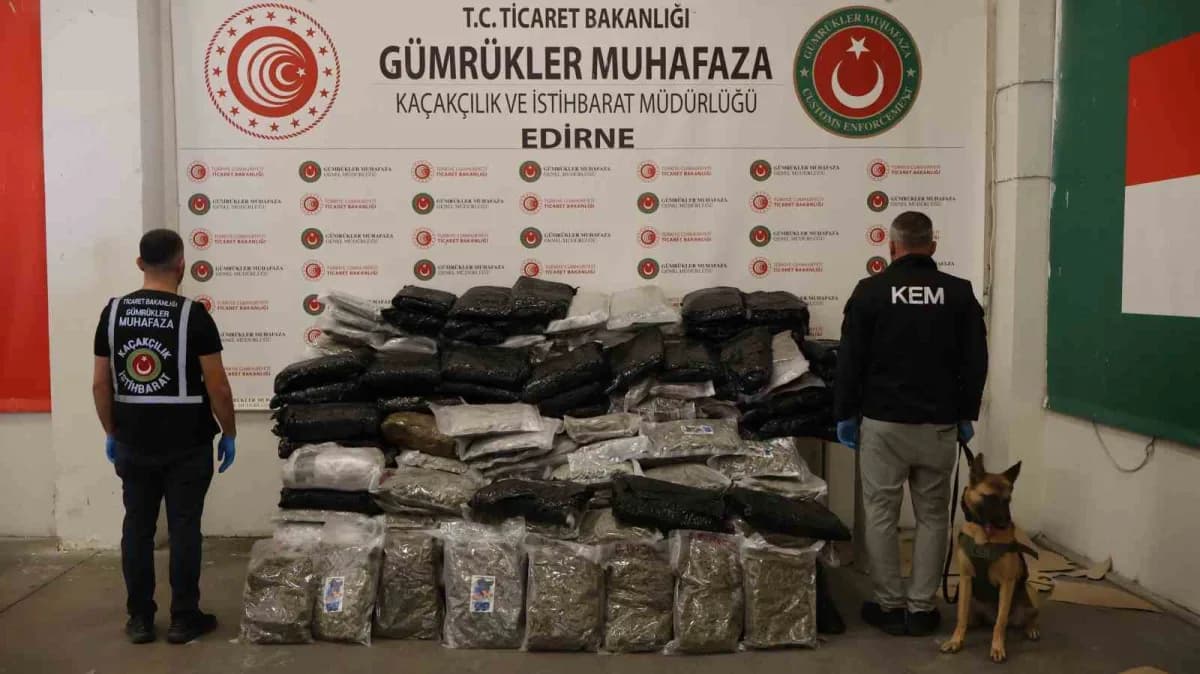 Ticaret Bakanlığı Gümrük Muhafaza ekiplerinin uyuşturucu operasyonu sırasında kullanılan narkotik dedektör köpeği AXEL v