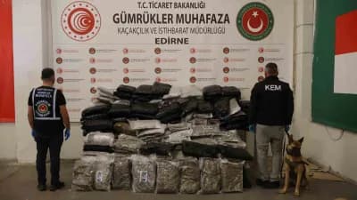 Ticaret Bakanlığı Gümrük Muhafaza ekiplerinin uyuşturucu operasyonu sırasında kullanılan narkotik dedektör köpeği AXEL v
