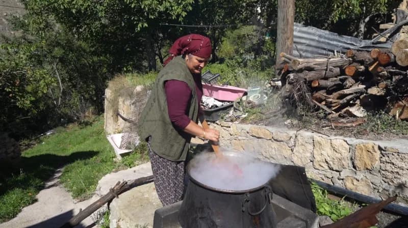 Türkiye’de doğal olarak yetişen 27 kuşburnu türünün 17’sine ev sahipliği yapan Gümüşhane’de, sonbaharla birlikte başlaya