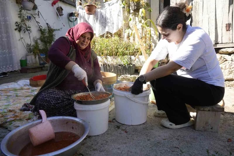 Türkiye’de doğal olarak yetişen 27 kuşburnu türünün 17’sine ev sahipliği yapan Gümüşhane’de, sonbaharla birlikte başlaya