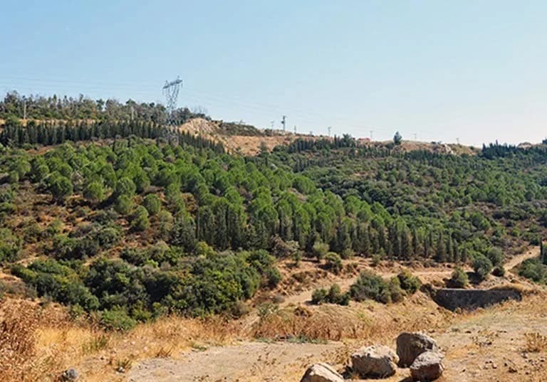 Kent genelinde bugüne kadar 963 bin 624 metrekarelik alanda 106 bin 390 fidanı toprakla buluşturan Büyükşehir, hafriyatı