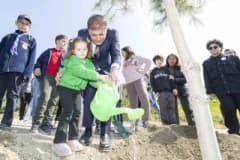 İzmir Büyükşehir Belediyesi tarafından ağaçlandırılan eski hafriyat döküm sahasında genç fidanlar