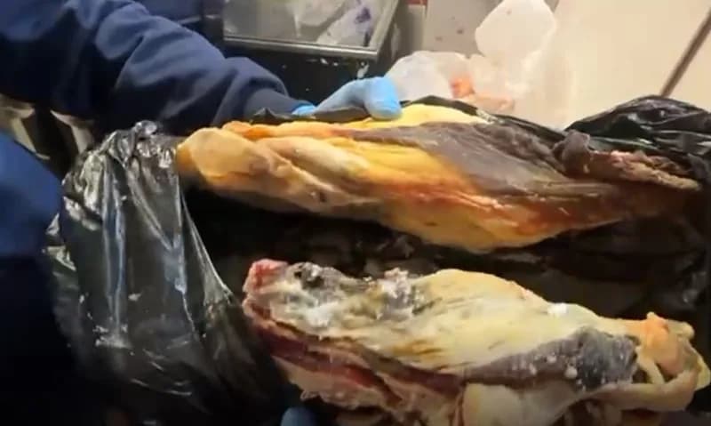 Haliliye Belediyesi Zabıta Müdürlüğü ekipleri, İlçe genelinde gerçekleştirdiği denetimlerde iki kasap işletmesinde topla