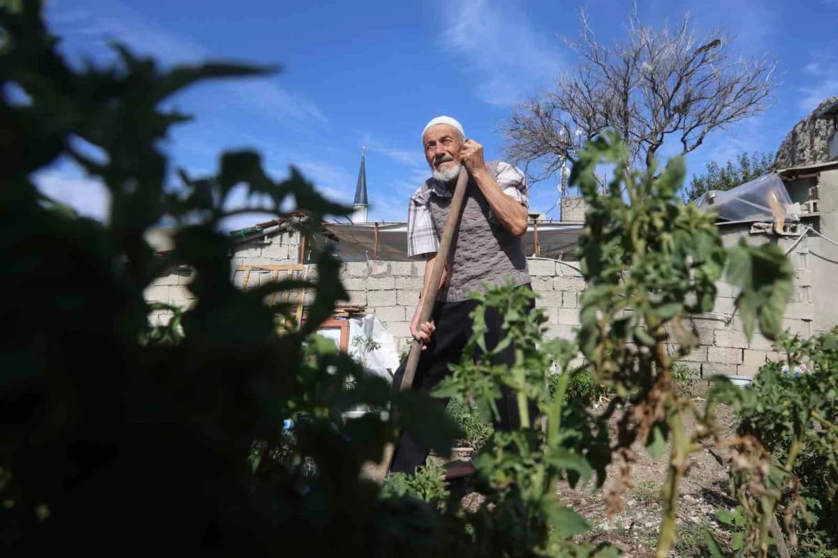 Hatay’da 90 yaşındaki adam, enkaz alanını bahçeye dönüştürüp ürünlerini hayrına dağıtıyor
