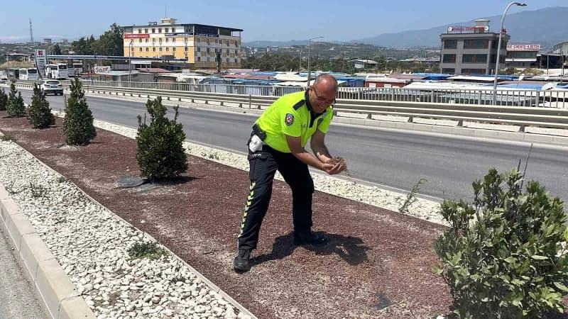 Yola dökülen yağı kumla kapatan polis memuru Murat Gündüz (Arşiv)