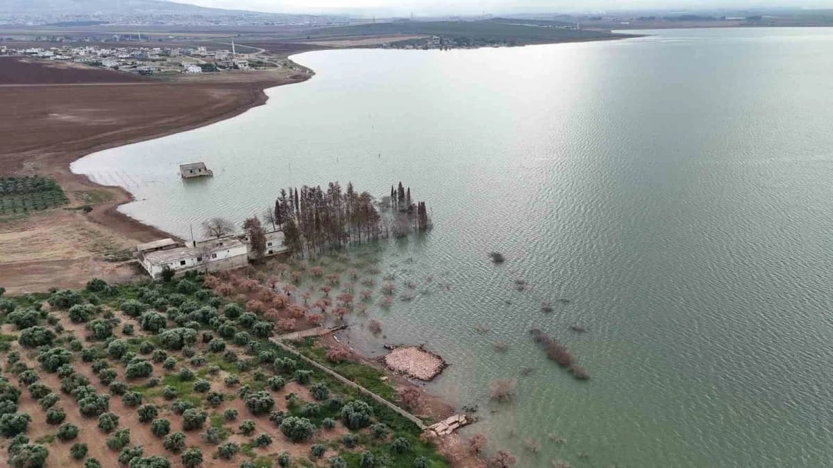 Hatay'da geçen yıl kuraklık nedeniyle su seviyesi düşen Reyhanlı Barajı, bu yıl etkili olan aşırı yağışlarla yeniden dol