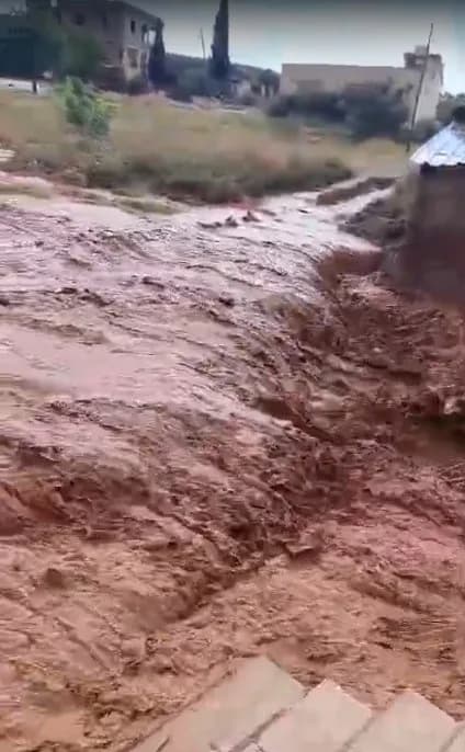 Hatay’da kısa süre etkili olan şiddetli yağış sele neden olurken, su altında kalan tarım arazilerinde insanlar ve hayvan