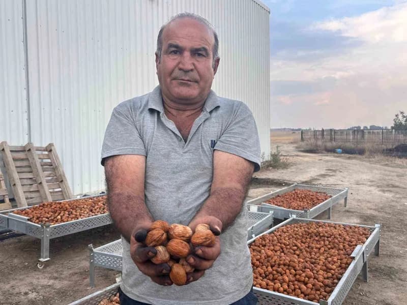 Ziraat Fakültesinden mezun olduktan sonra yıllarca ceviz bahçelerine otomatik sulama sistemleri kuran Yaşar, son 5 yıldı