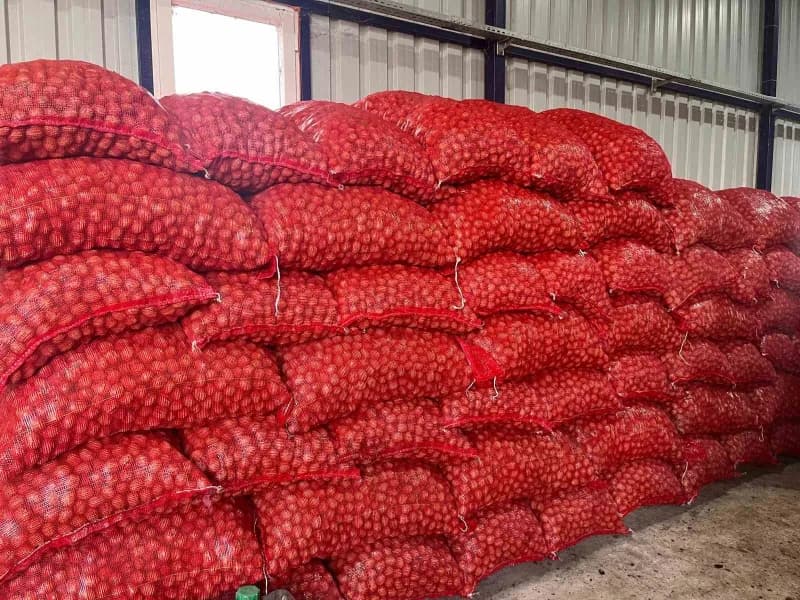 Ceviz üretiminde miktar kadar kalitenin de önemli olduğunu vurgulayan Yaşar, "Bu seneki hedefimiz 40 ton ve üzeri. Maksi