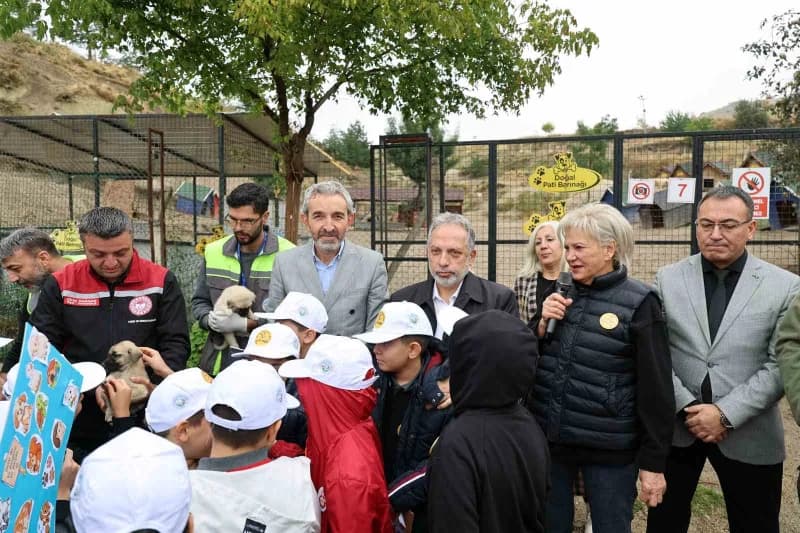 4 Ekim Hayvanları Koruma Günü; Talas Pati Evi Doğal Yaşam Alanında düzenlenen etkinlikle kutlandı.