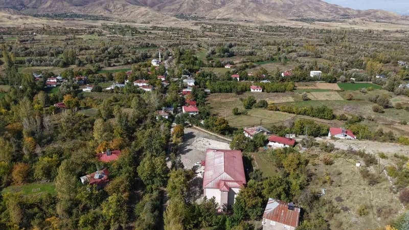 Maden, Alacakaya, Sivrice, Stratejik Araştırmalar ve Kalkınma Derneği (MASSAD), hazara Bölgesi için