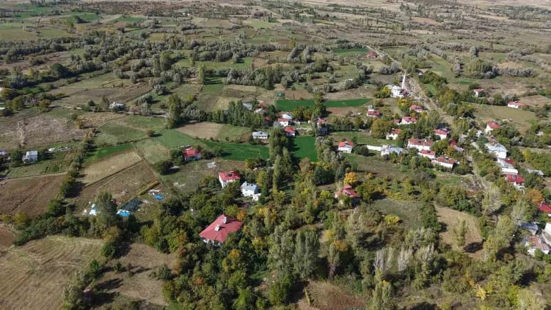 Maden, Alacakaya, Sivrice, Stratejik Araştırmalar ve Kalkınma Derneği (MASSAD), hazara Bölgesi için