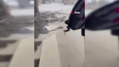 Riyad Kral Halid Uluslararası Havalimanı terminal binası ve çevresi