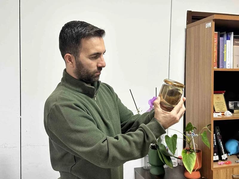 Veteriner Hekim Birol Yürük operasyonla çıkartılan armudu Kastamonu Üniversitesi Veteriner Fakültesi