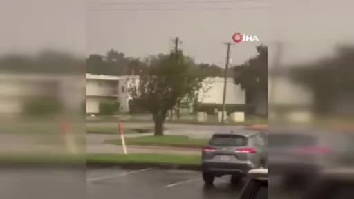 Isaias Kasırgası nedeniyle Florida’da devrilen ağaçlar ve elektrik telleri