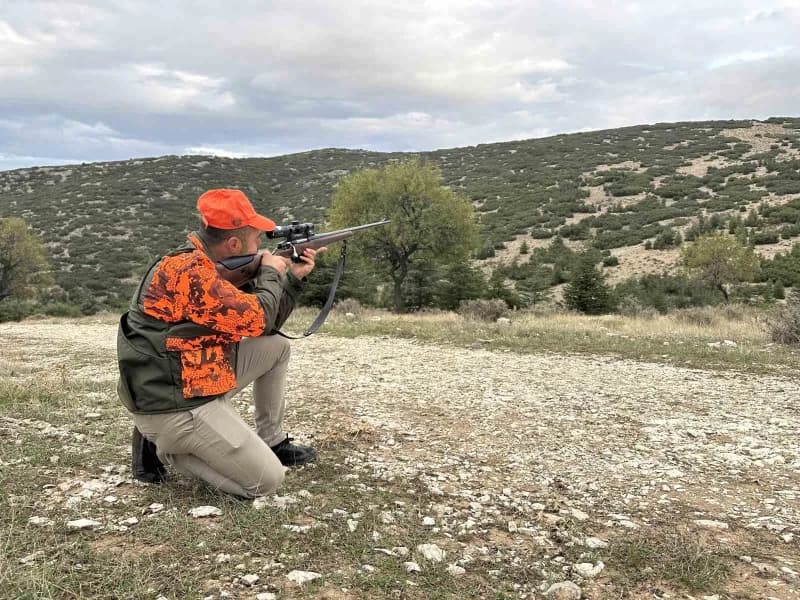 Yaban domuzları için avcılar, sürek avına çıktı