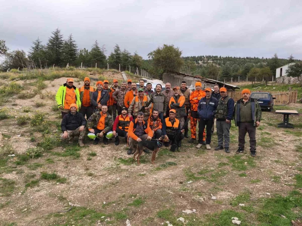 Yaban domuzları için avcılar, sürek avına çıktı