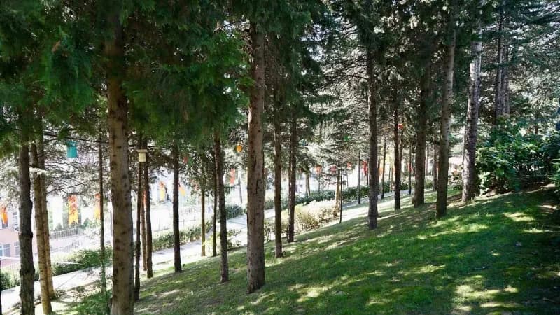 Kağıthane Belediyesi, Gültepe Mesire Alanı’nın açılışını gerçekleştirdi. Törende konuşan Belediye Başkanı Mevlüt Öztekin
