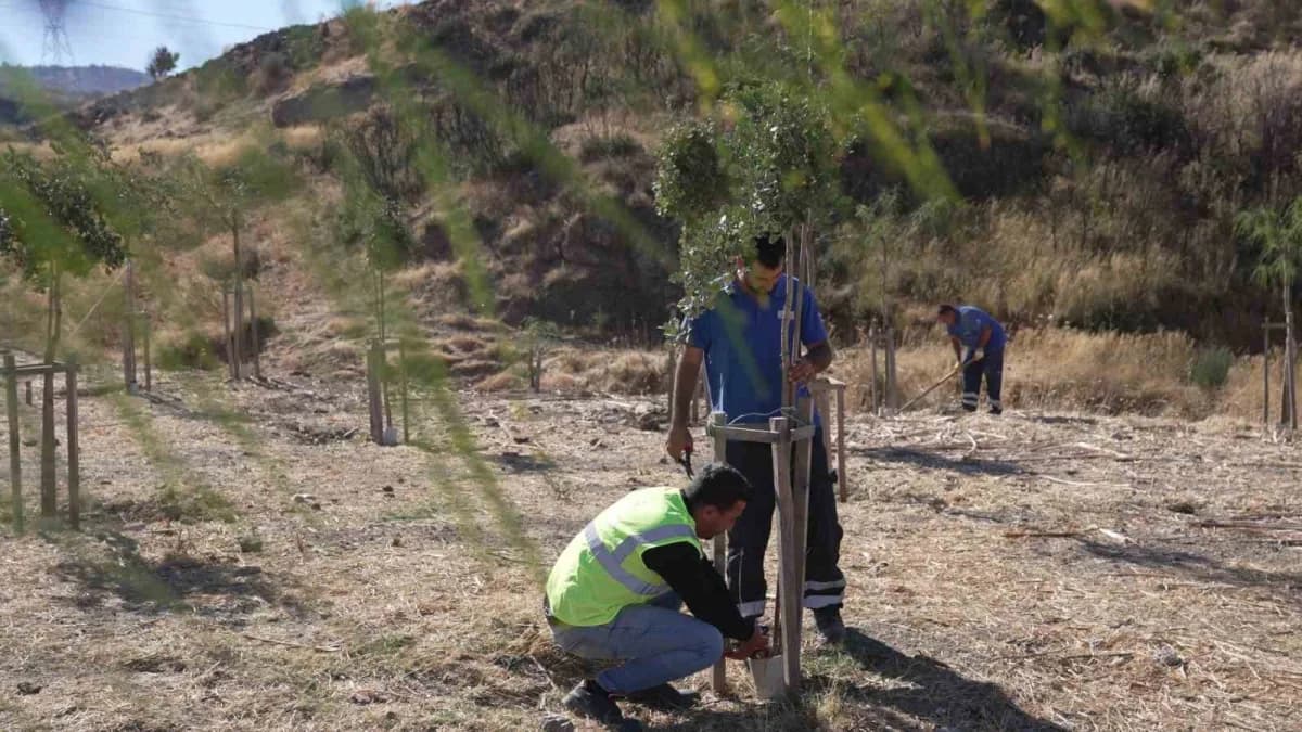 İzmir Büyükşehir Belediyesi, 13 Ağaçlandırma sahasında toplam 1 milyon 522 bin metrekarelik alanda 41 bin bitkiyi toprak