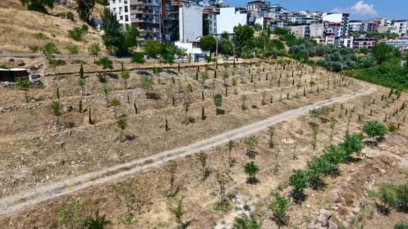 İzmir Büyükşehir Belediyesi, 13 Ağaçlandırma sahasında toplam 1 milyon 522 bin metrekarelik alanda 41 bin bitkiyi toprak